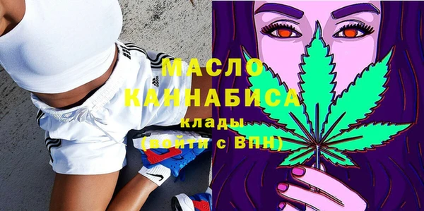 гидра Киреевск
