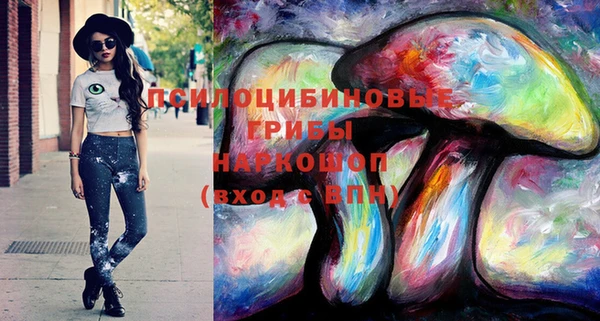 метадон Касимов